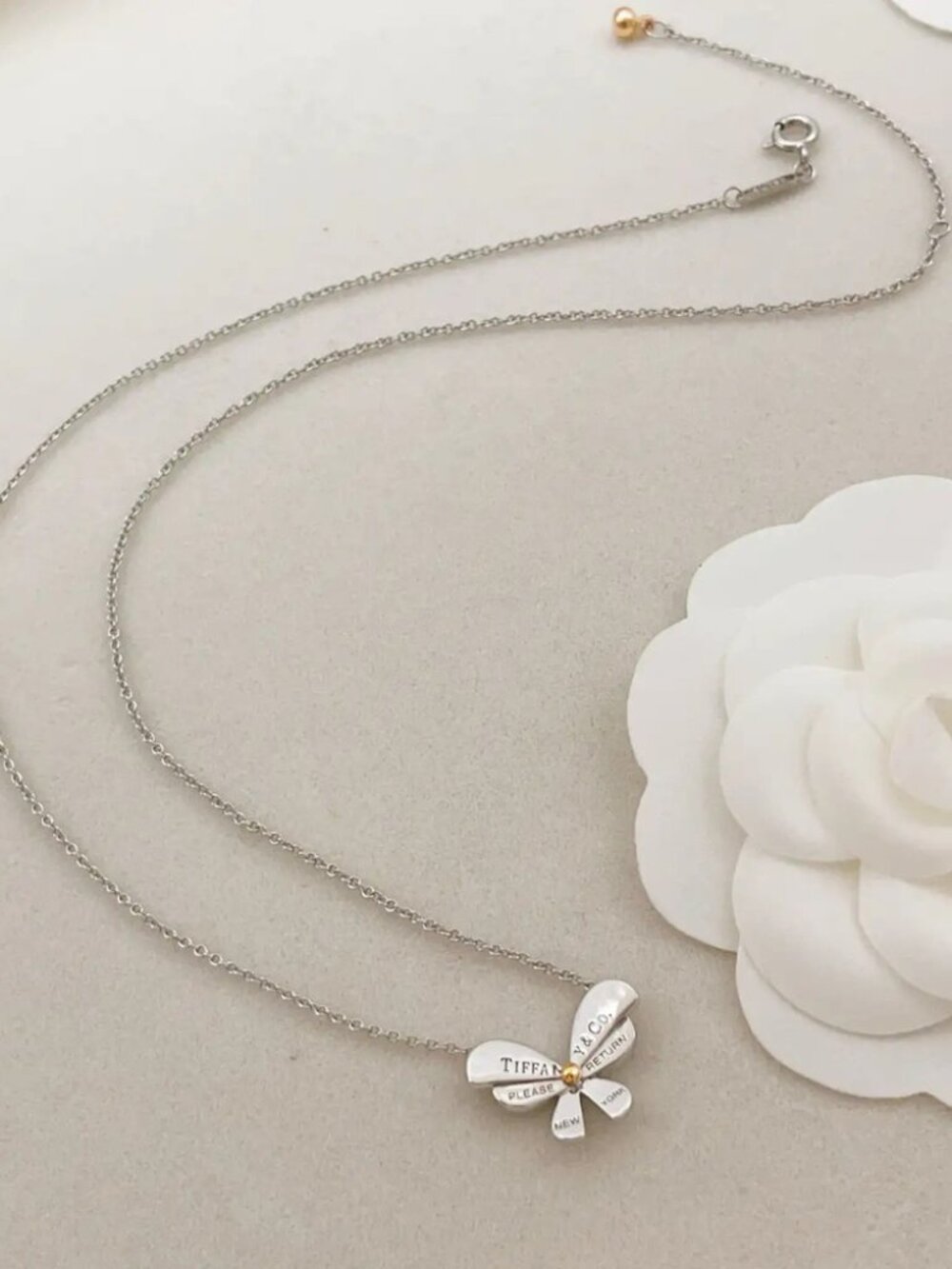 Tiffany & Co. Silver Butterfly Necklace